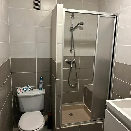 Climatise Avec Animaux Admis Au Centre-ville Pres Des Thermes - Fr-1-451-225 Lägenhet