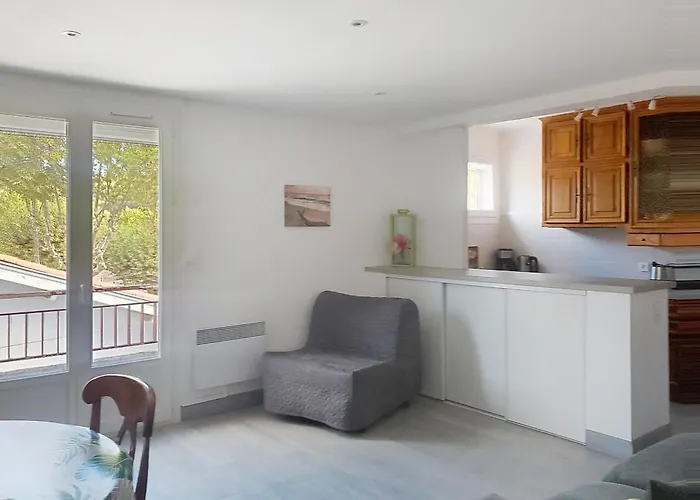 Climatise Avec Animaux Admis Au Centre-ville Pres Des Thermes - Fr-1-451-225 Lamalou-les-Bains