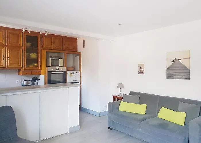 דירה Climatise Avec Animaux Admis Au Centre-ville Pres Des Thermes - Fr-1-451-225 *